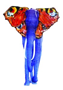 grafika SŁOŃ O MOTYLICH USZACH